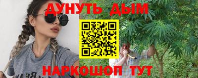 индика Ливны