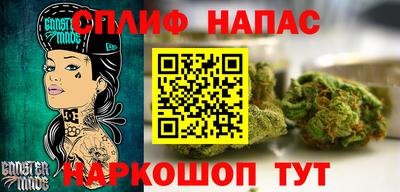 сатива Лесосибирск