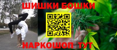 сатива Лесосибирск