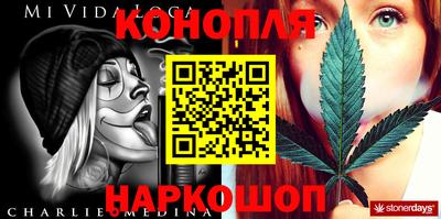 сатива Лесосибирск