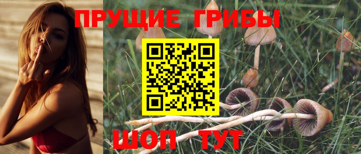 Галлюциногенные грибы Magic Shrooms  Вход с VPN  Грязи 