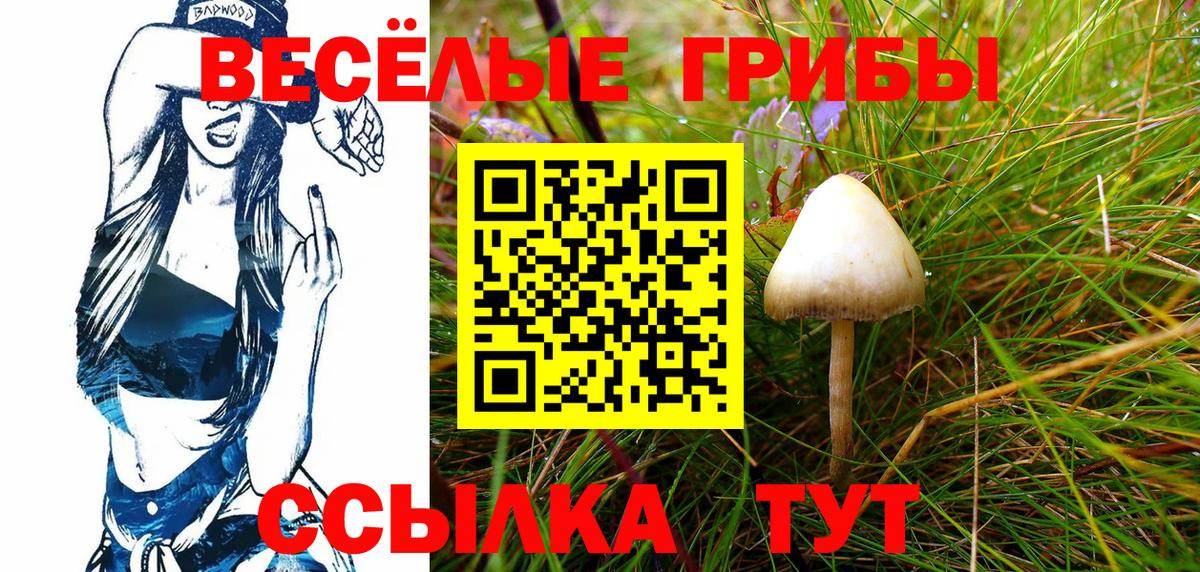 Псилоцибиновые грибы мухоморы Грязи